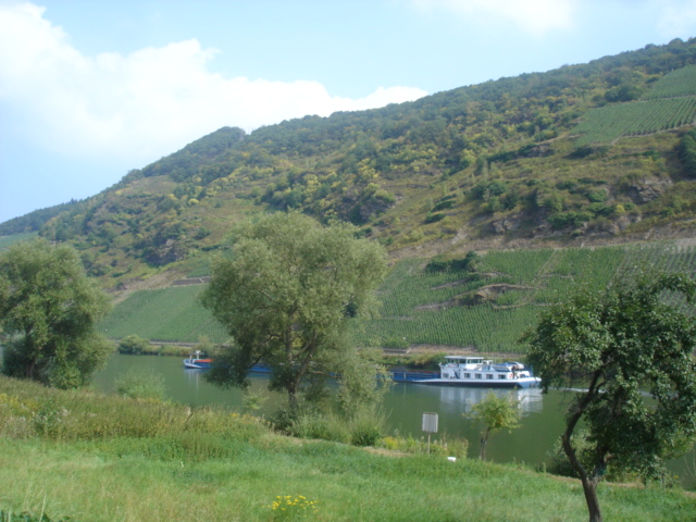 024 - PAYSAGE DES BORDS DE LA MOSELLE 5.JPG